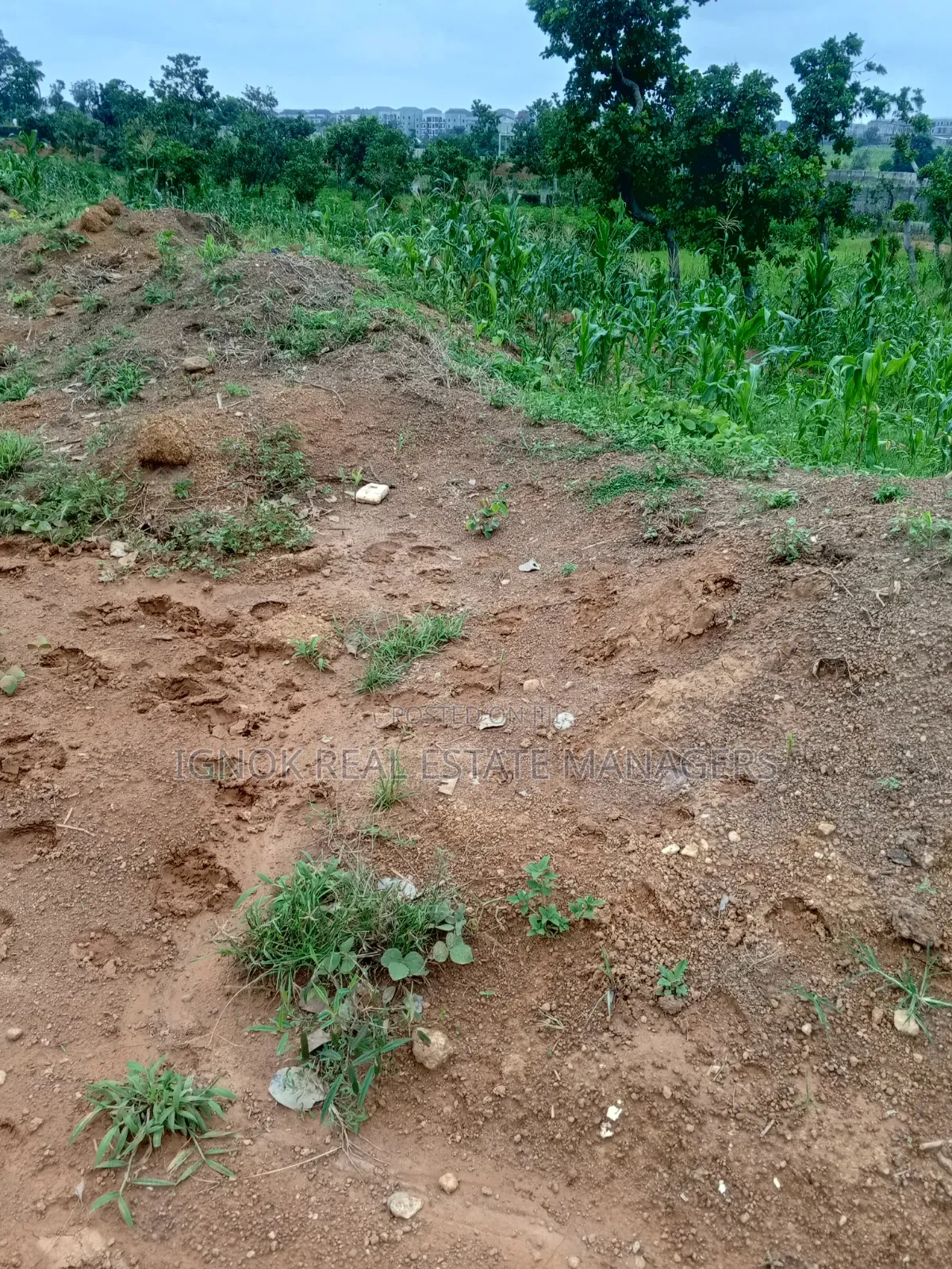 1270sqm Flat Commercial Land for Sale