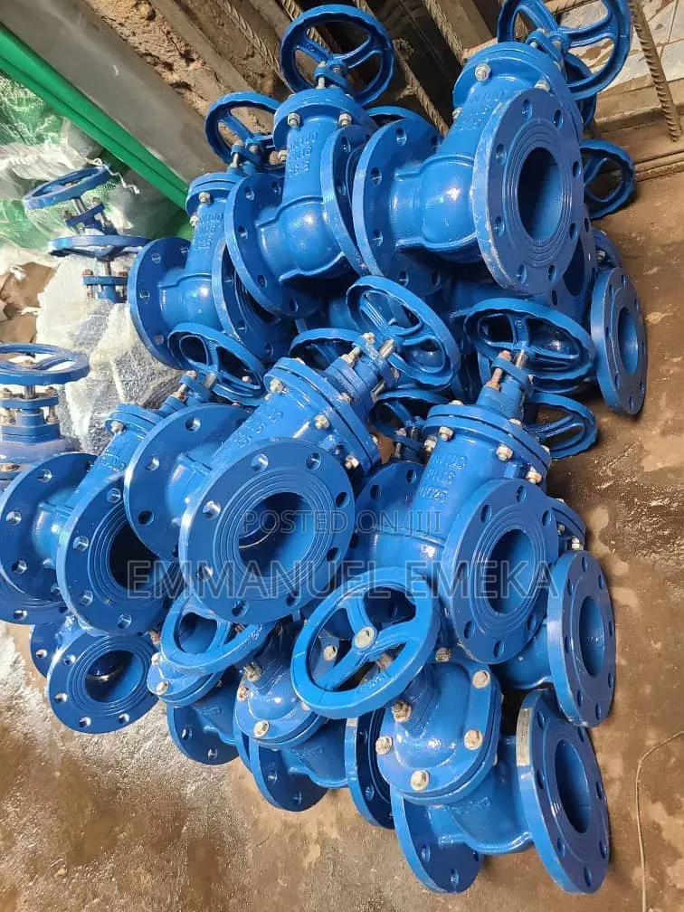 Gate Valves DN100
