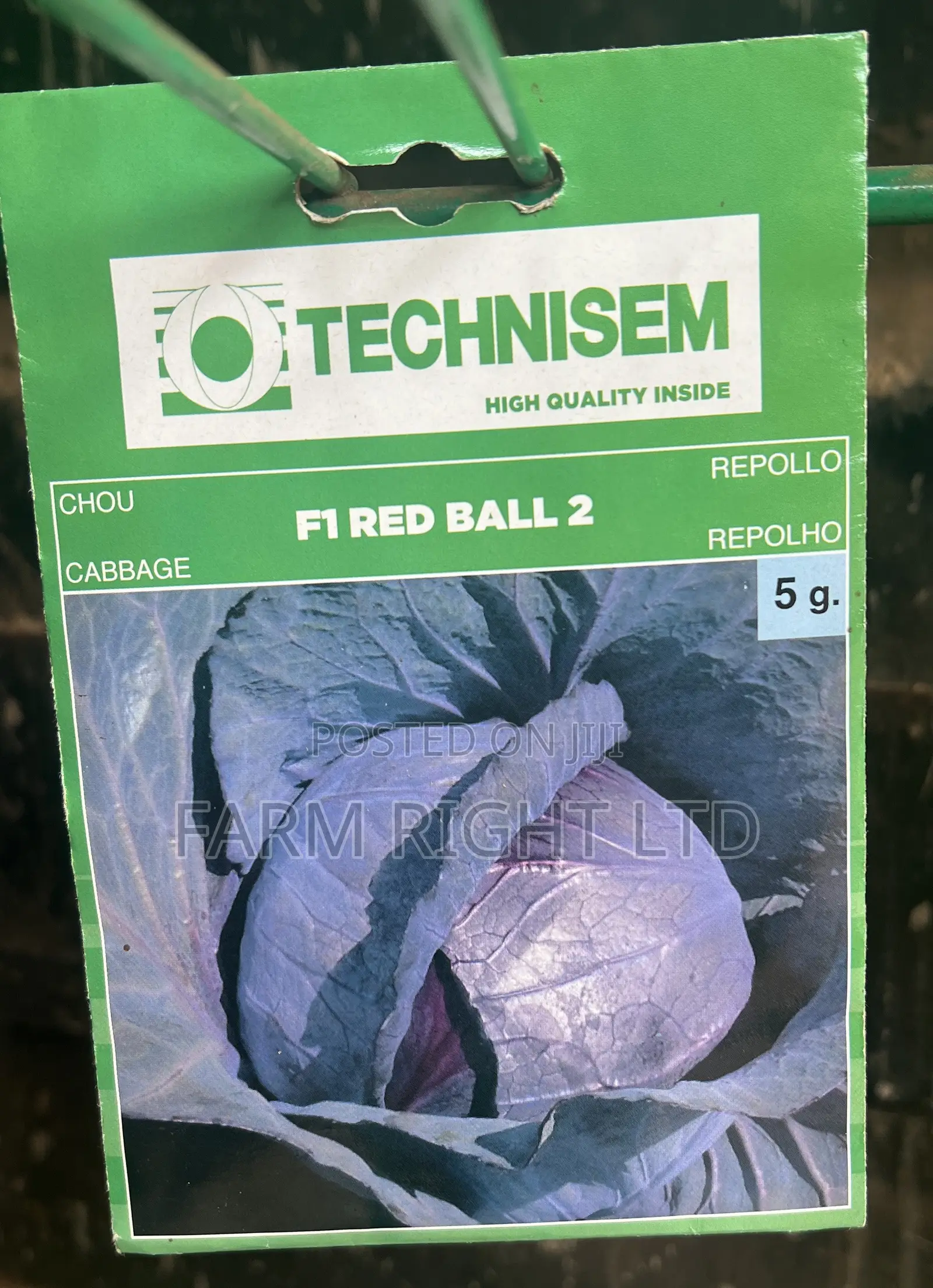 Red Cabbage Seeds (Red Ball)