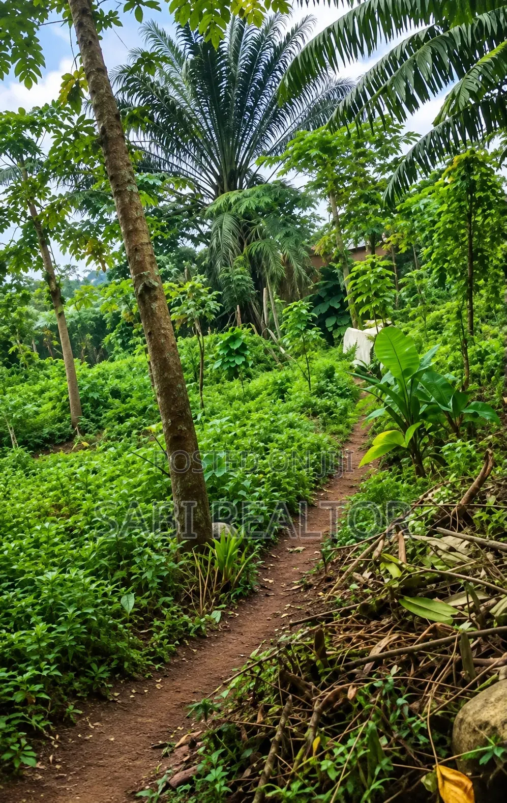 More Than a Plot of Land at Abiola Farm Phase 1 Megida Ayobo Lagos