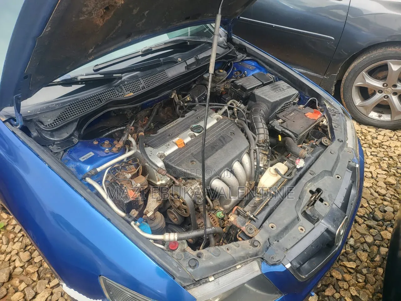 Honda Accord 2007 Beige