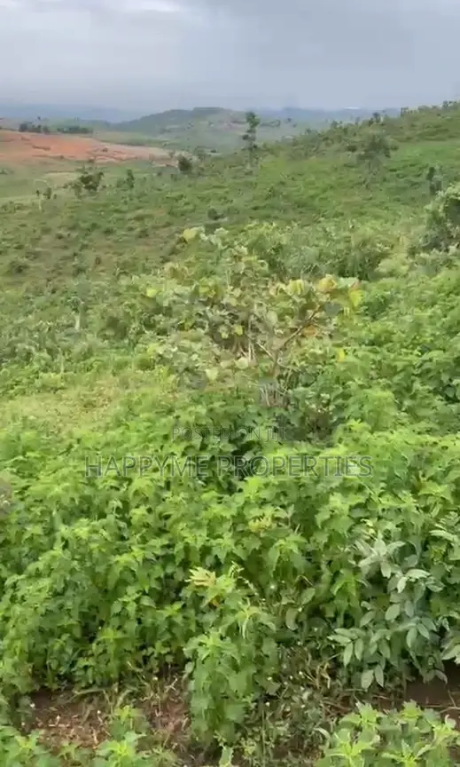 2.8 Hectares of Land Karshi