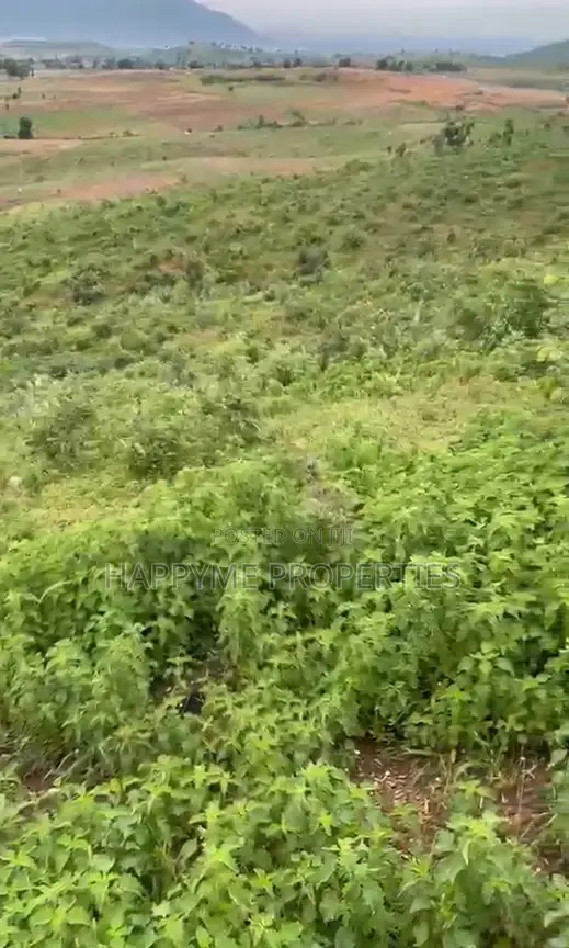 2.8 Hectares of Land Karshi
