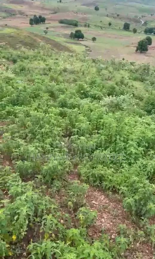 2.8 Hectares of Land Karshi