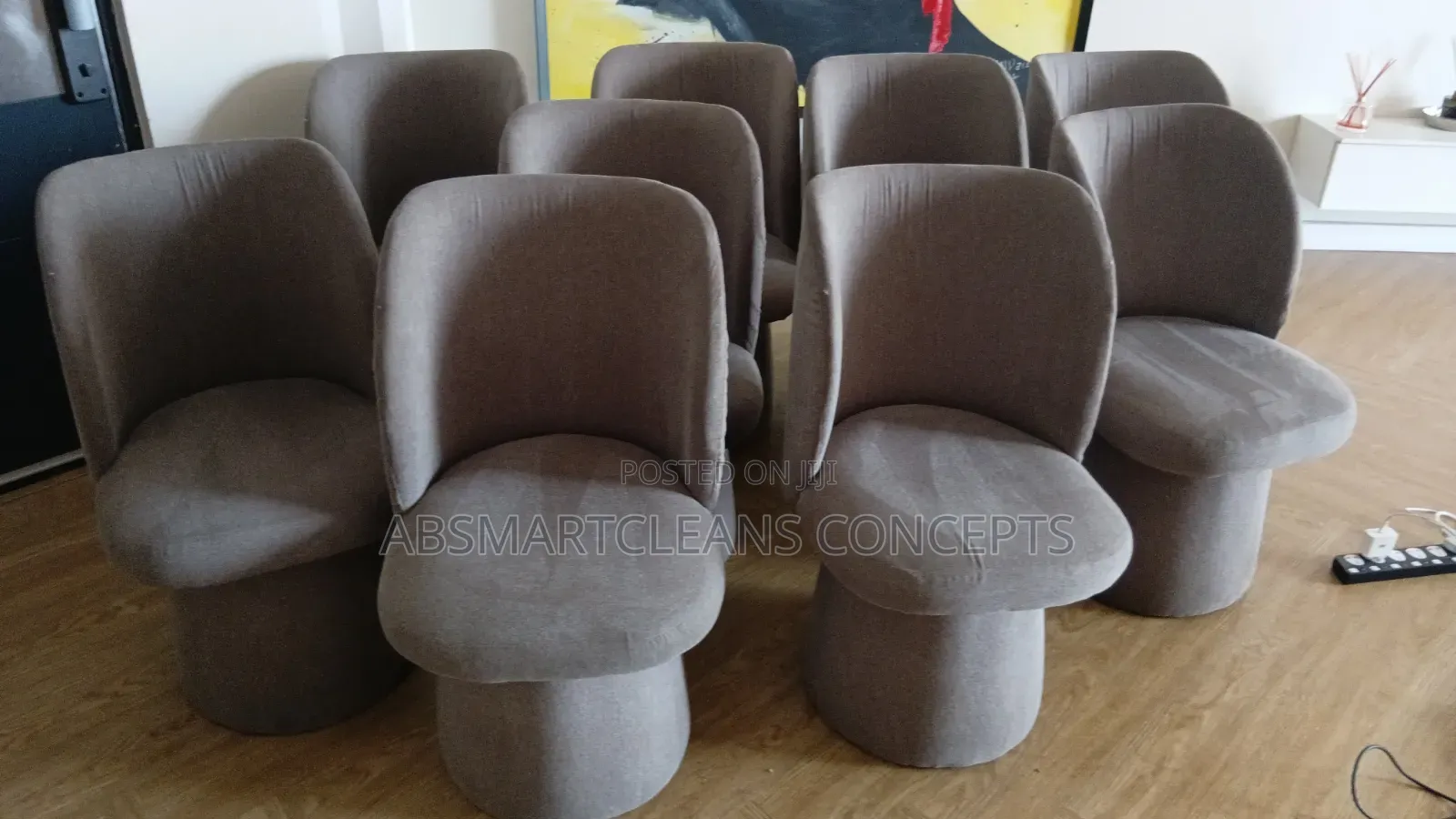 Couch Cleaning Service