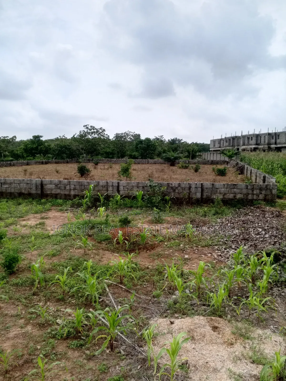 1500sqm Flat Residential Land for Sale