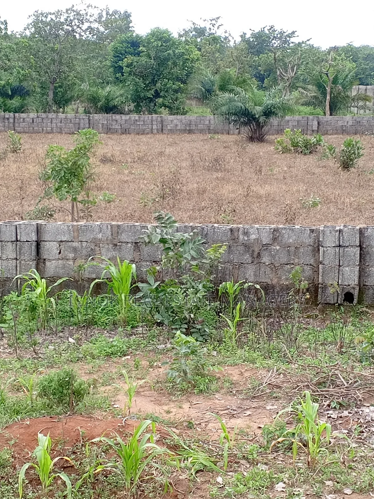 1500sqm Flat Residential Land for Sale