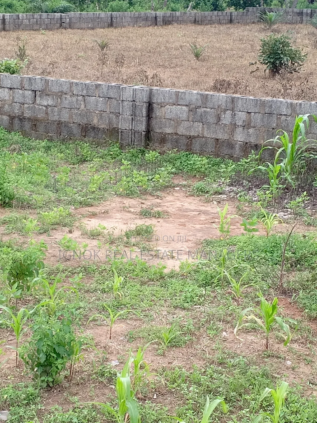 1500sqm Flat Residential Land for Sale