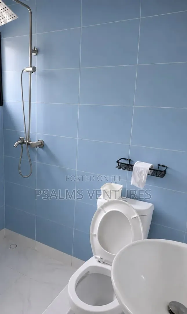 Furnished Mini Flat in Agege, Cement for rent