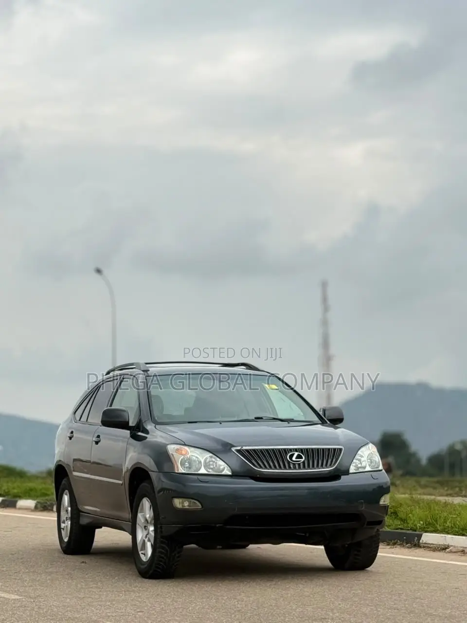 Lexus RX 330 2004 Gray