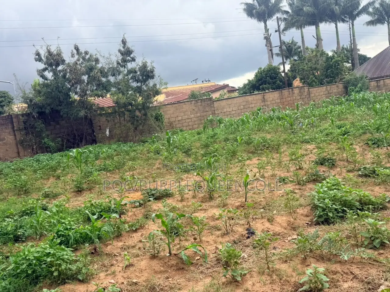 6 Plots of Land at Rayfield Jos Plateau State