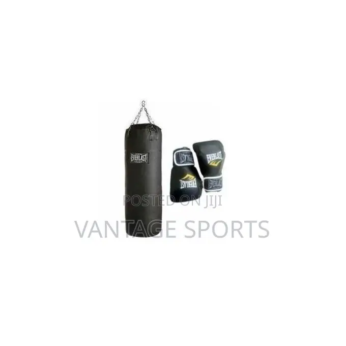 Everlast Punching Bag With Boxing Glove –Boxing Fitness Training Set