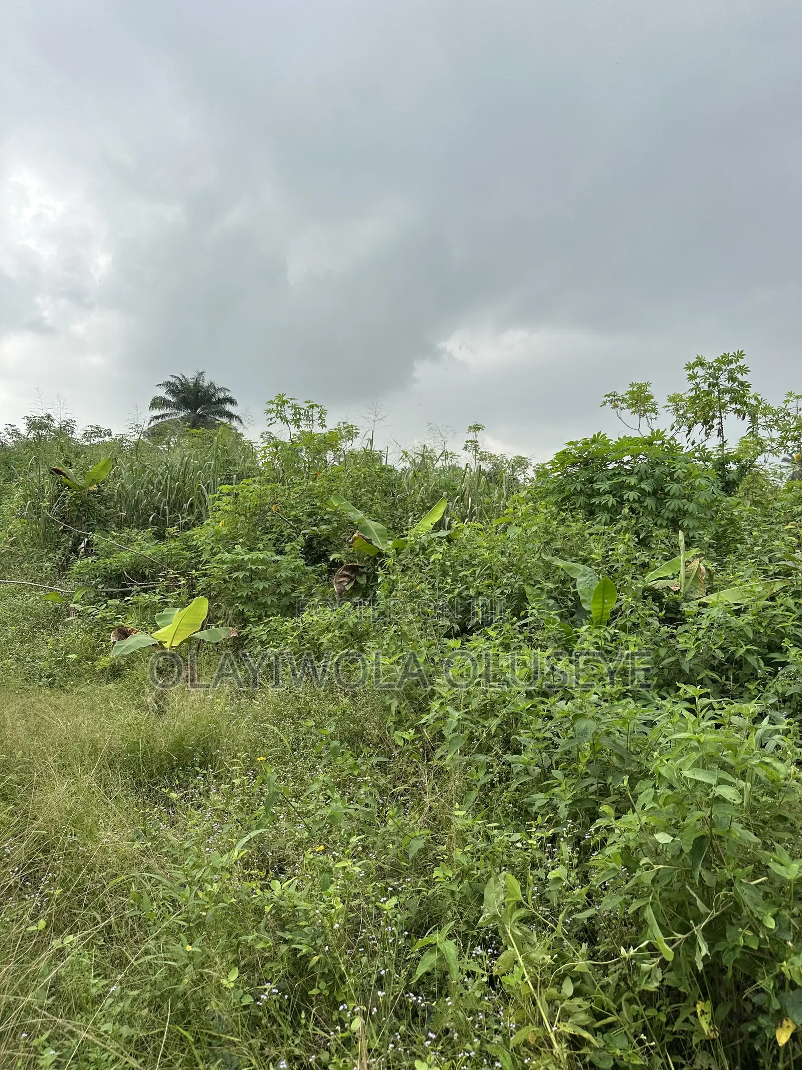 Agric Land for Sale