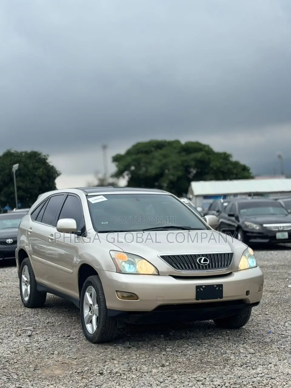 Lexus RX 330 2005 Gold