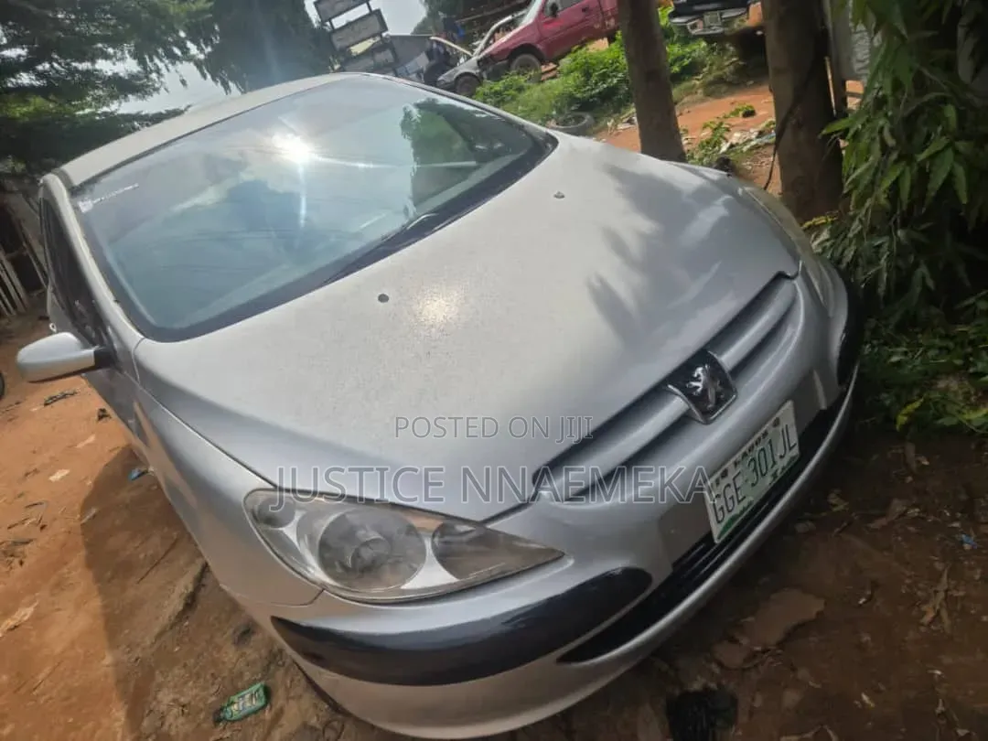 Peugeot 307 2007 Silver