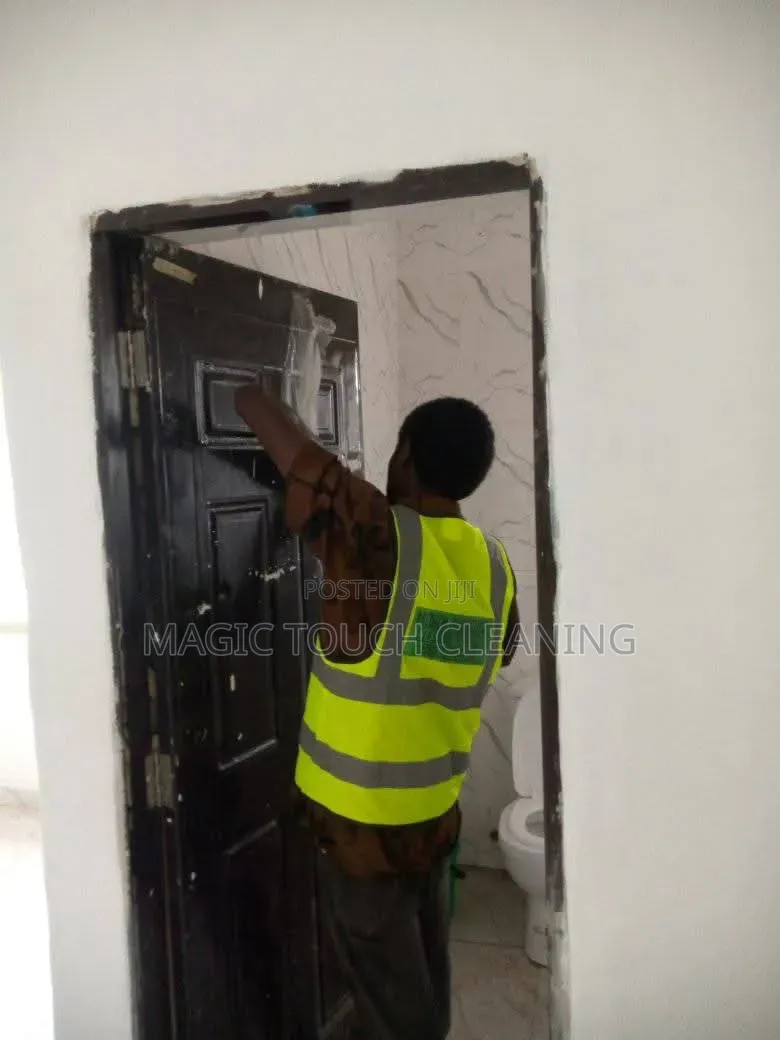 Do You Need PROFESSIONAL CLEANER to Handle Cleaning of Your Apartment?