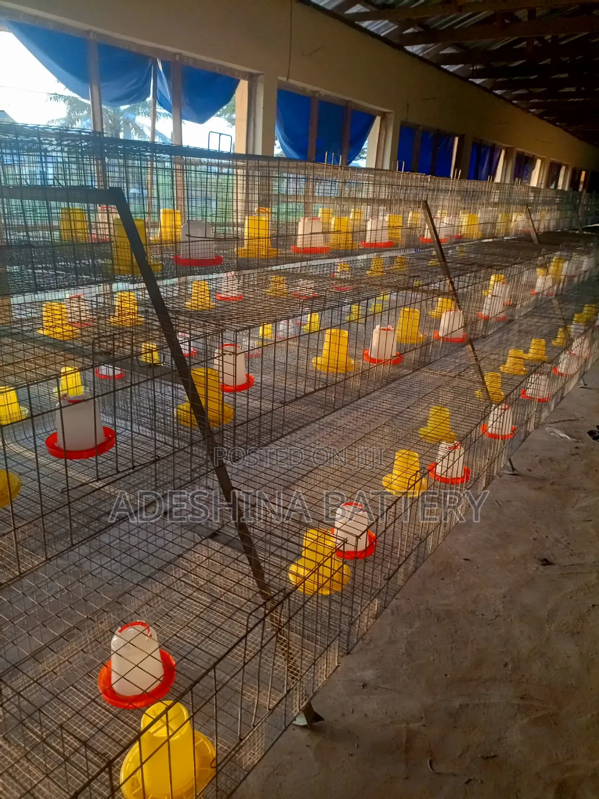 3 Tiers of New Cages of 96 and 120birds Capacities