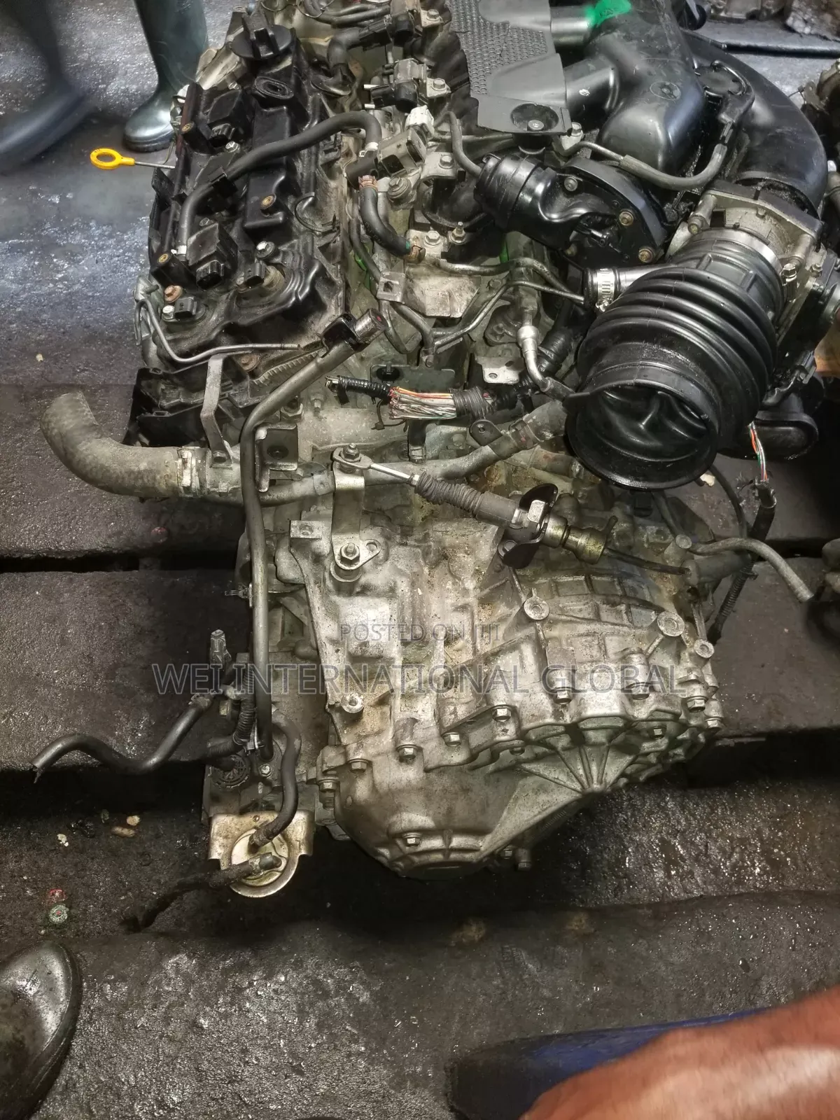 Nissan Morano Engine and Gearbox