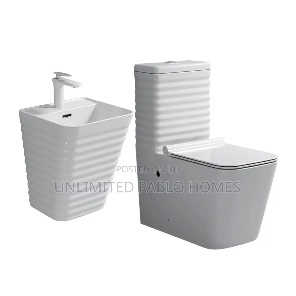 Executive White W/C and Wall-Hung Basin Set