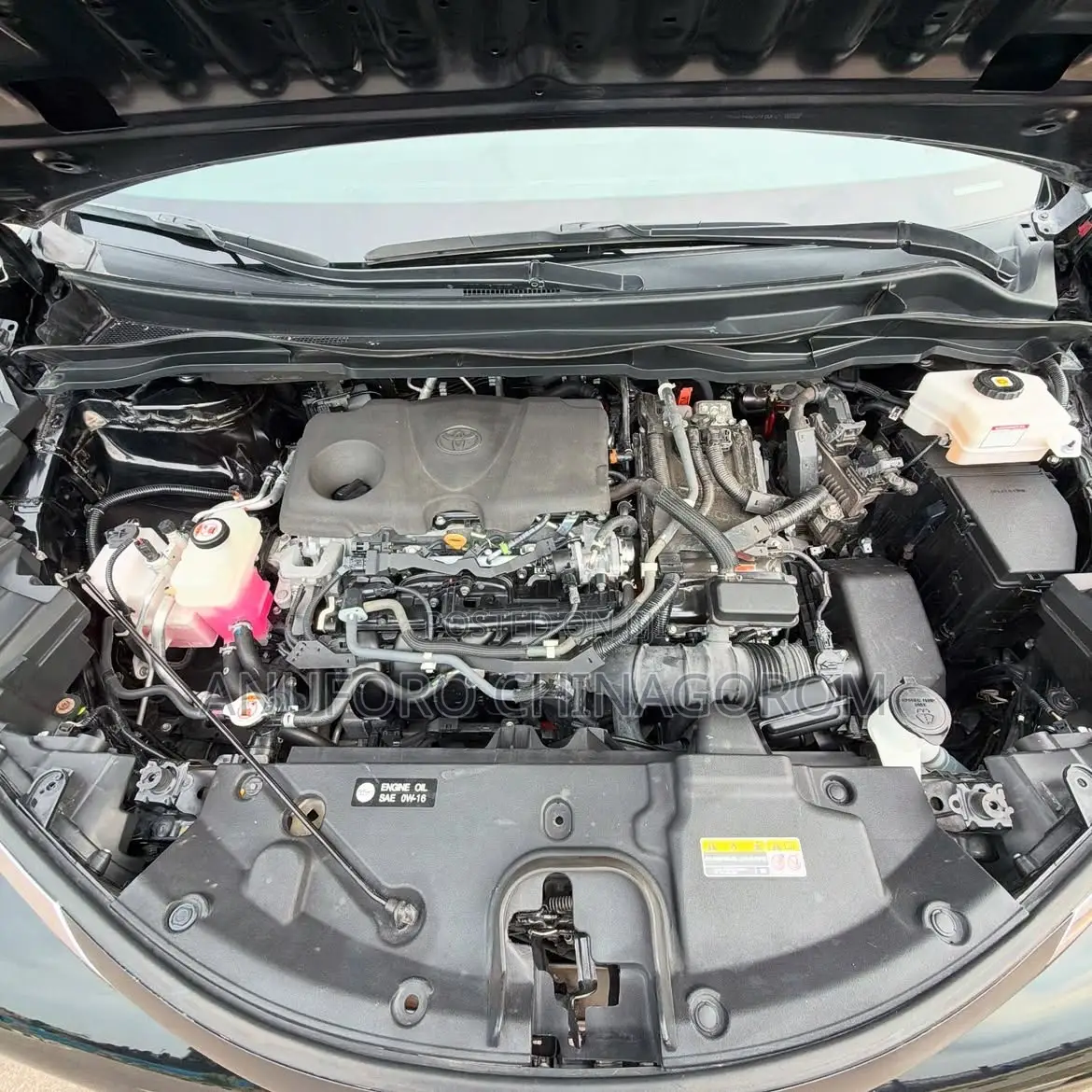 Toyota Venza 2022 Black