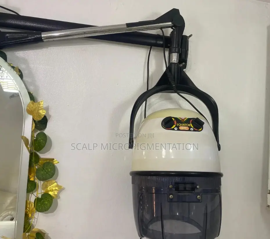 Professional Quality Egg Wall Hair Dryer Salon