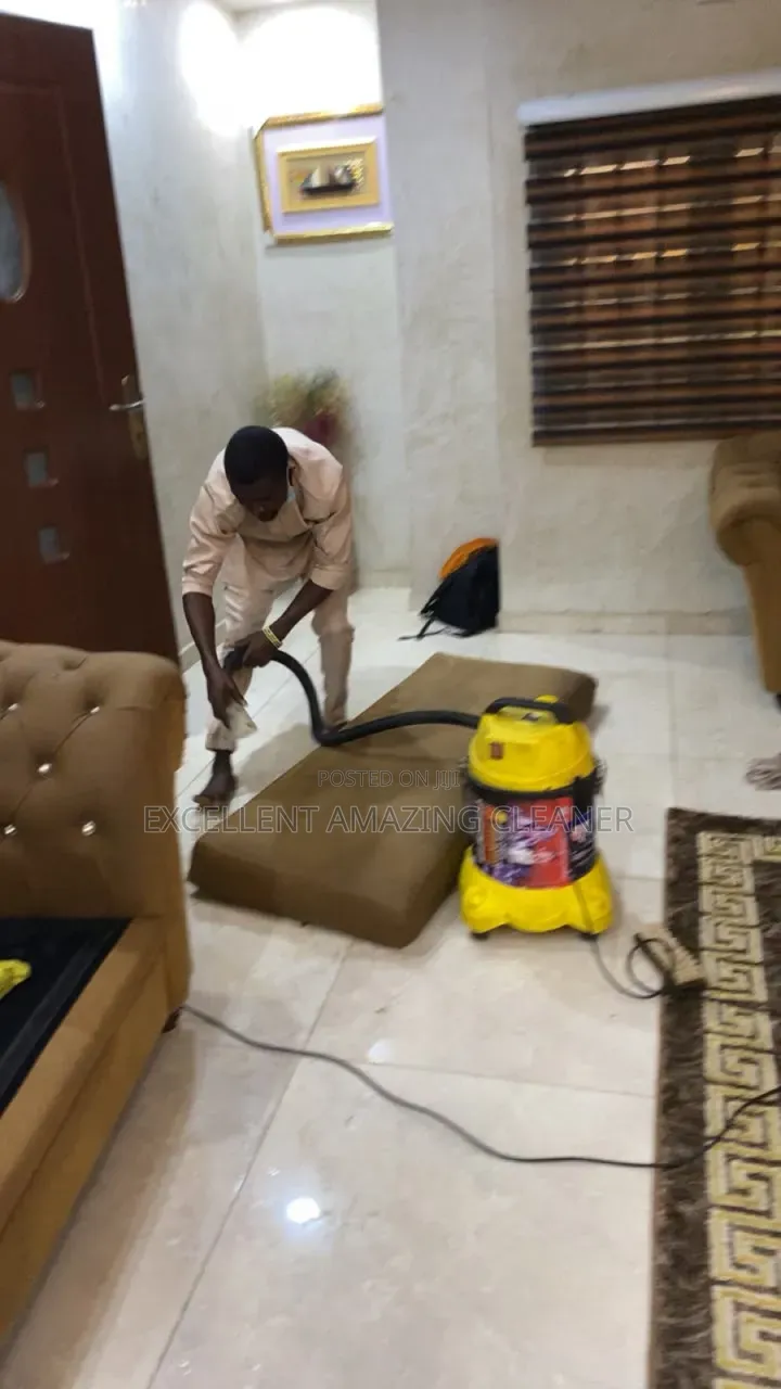 Attention to Sofa Cleaning