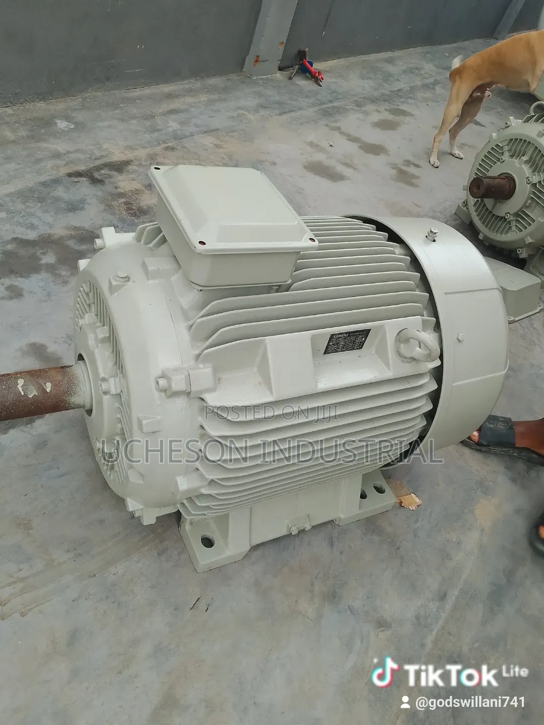 Siemens Electric Motor 75kw/100hp