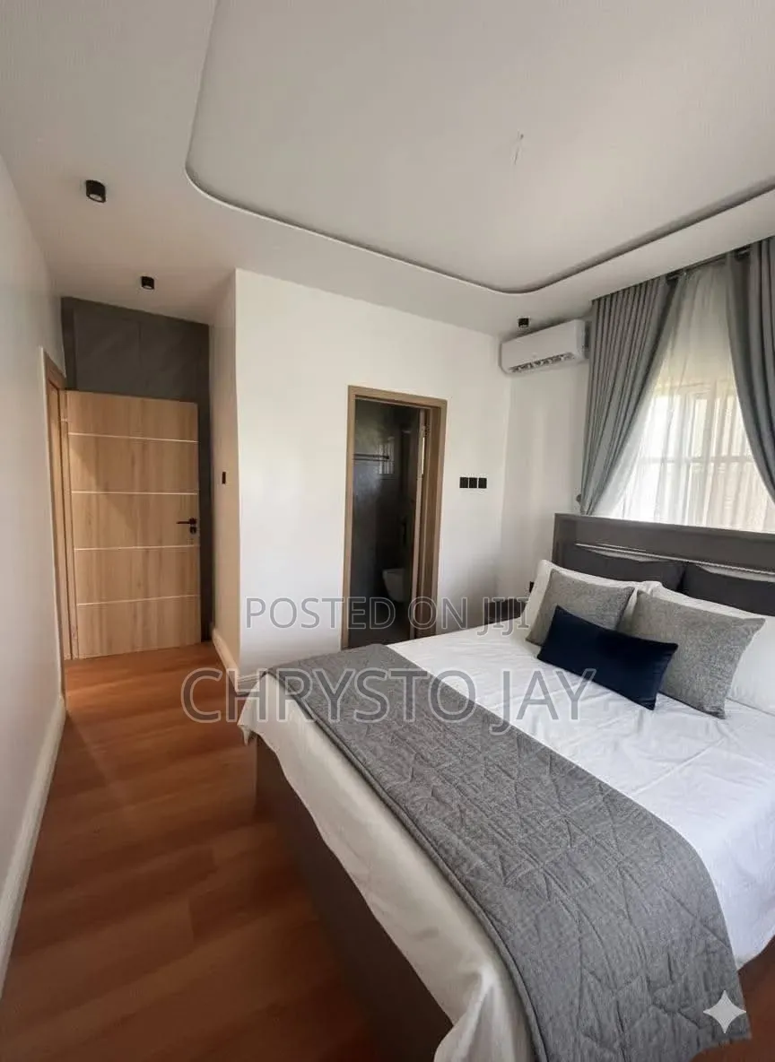 Furnished Mini Flat in Asokoro for rent