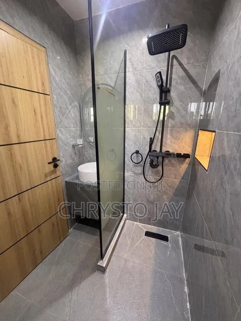 Furnished Mini Flat in Asokoro for rent