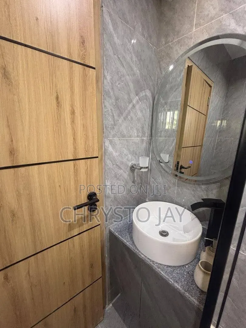 Furnished Mini Flat in Asokoro for rent