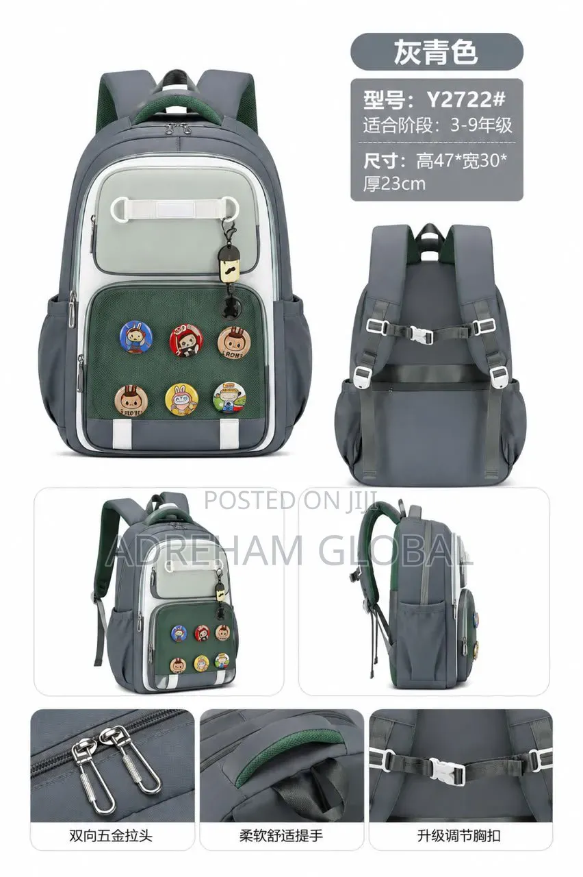 Premium Orthopedic School Bag With Removal Character Clips Pri 5-Jss3
