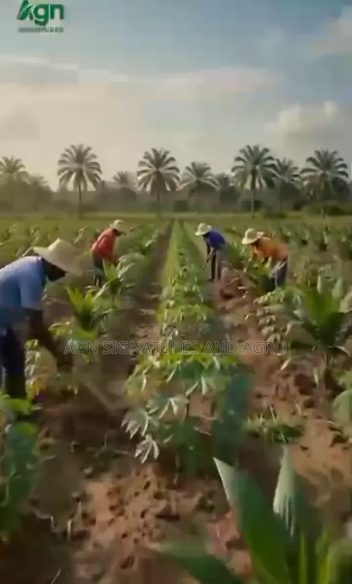 Invest in Farm Estate That Pays You Yearly While You Still Own D Land