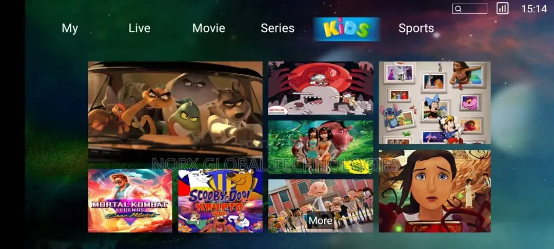 Iptv Subscription (1 Year)