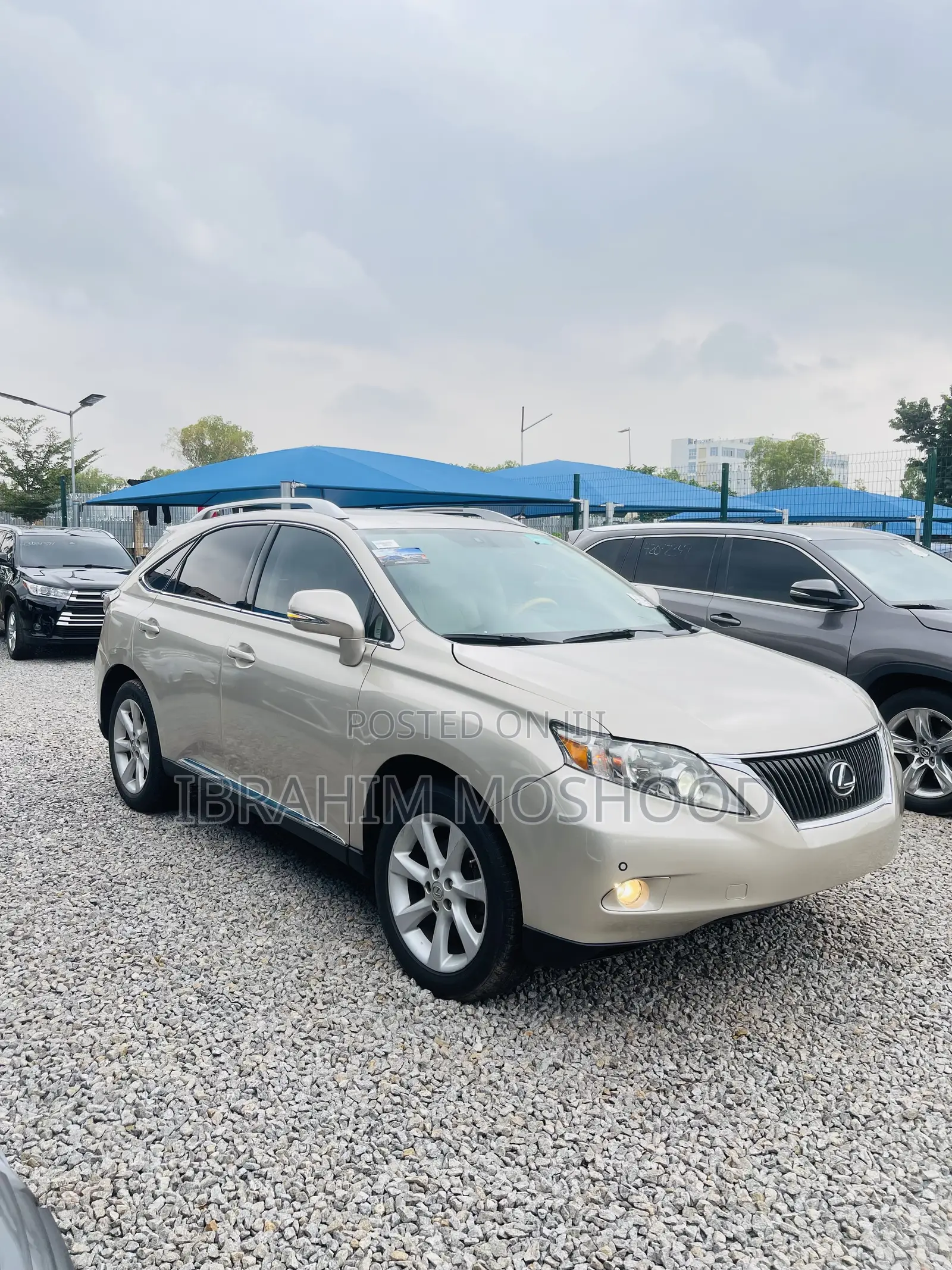Lexus RX 350 AWD 2012 Gold
