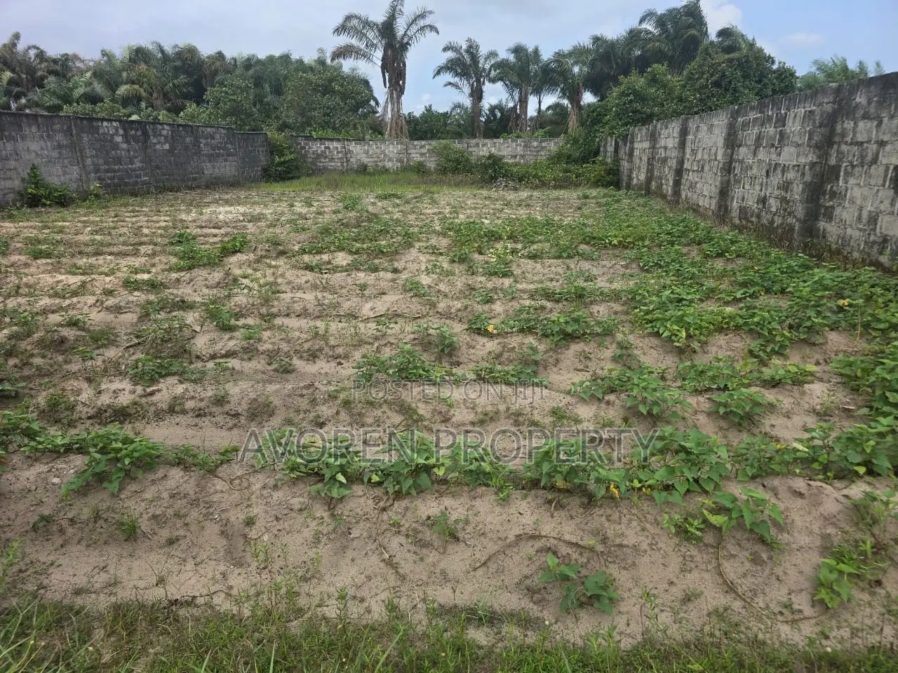 2 Plots of Land for Sale in Eluju Ibeju-Lekki | Prime Investment Land