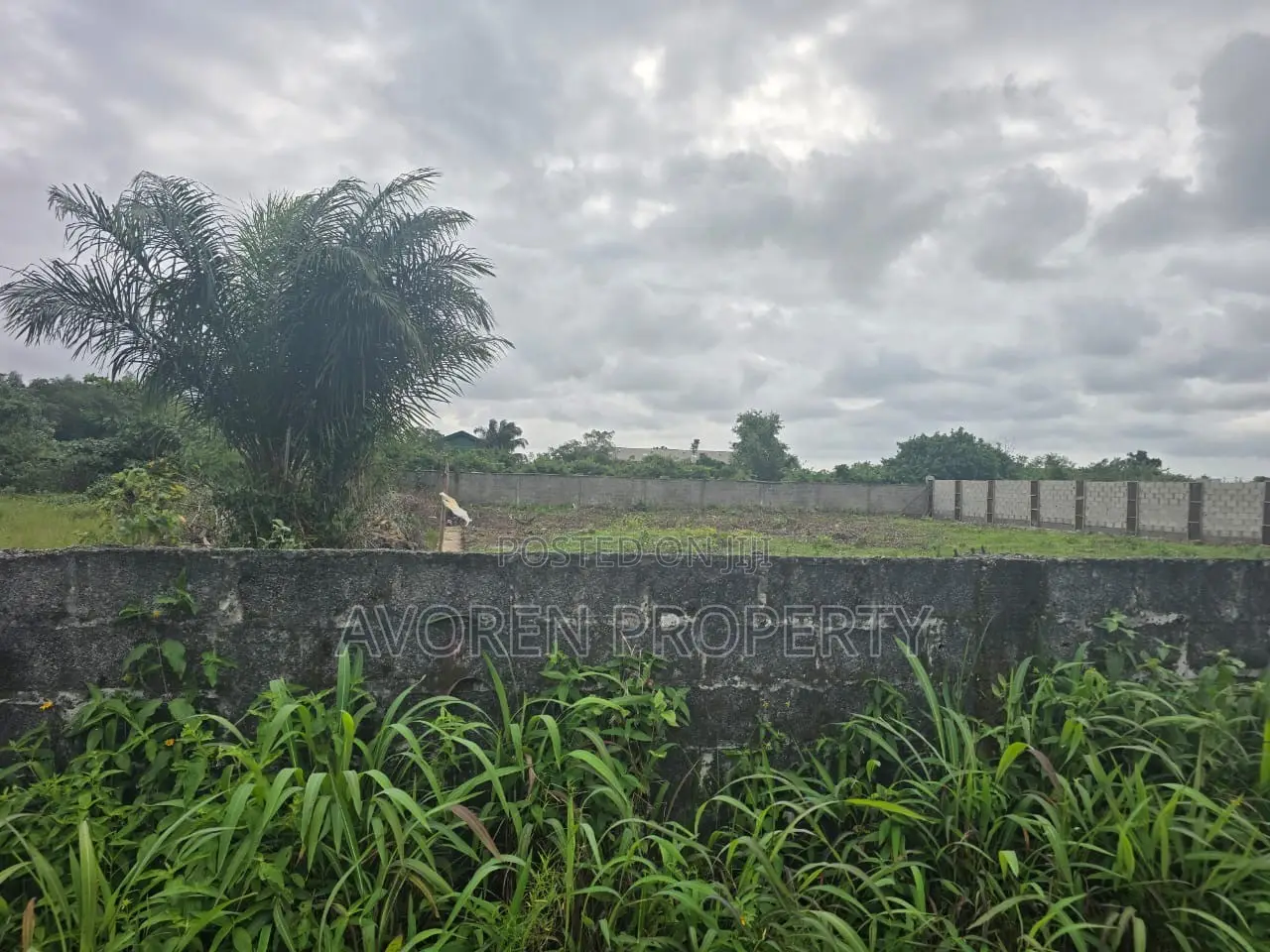 2 Plots of Land for Sale in Eluju Ibeju-Lekki | Prime Investment Land