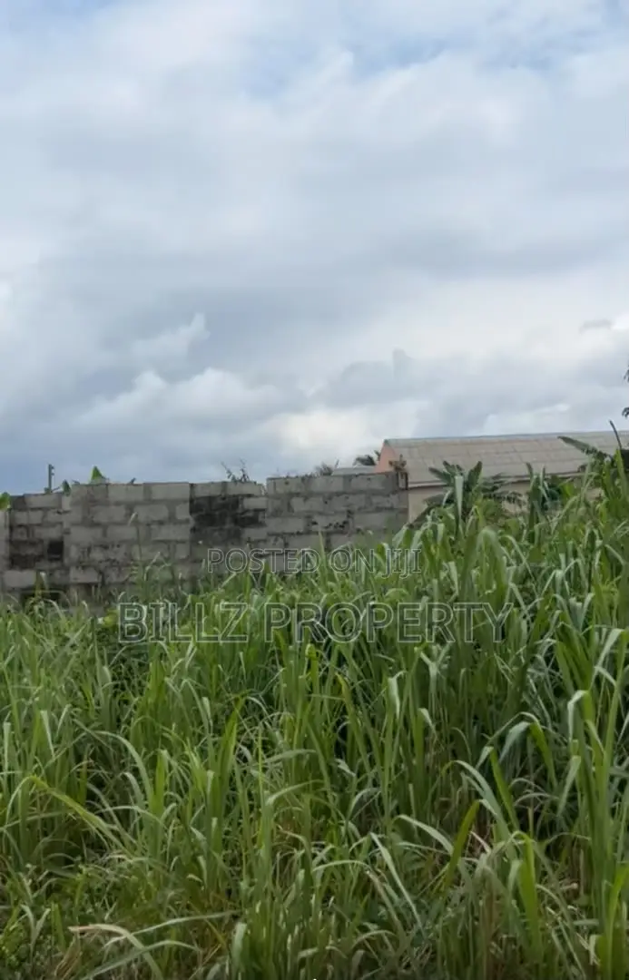 An Uncompleted Building on a Half Plot of Land