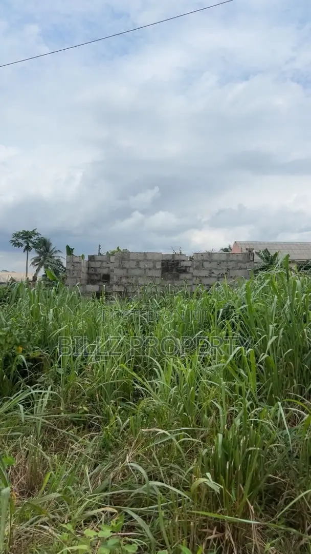 An Uncompleted Building on a Half Plot of Land