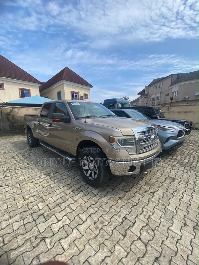 Ford F-150 2014 Brown