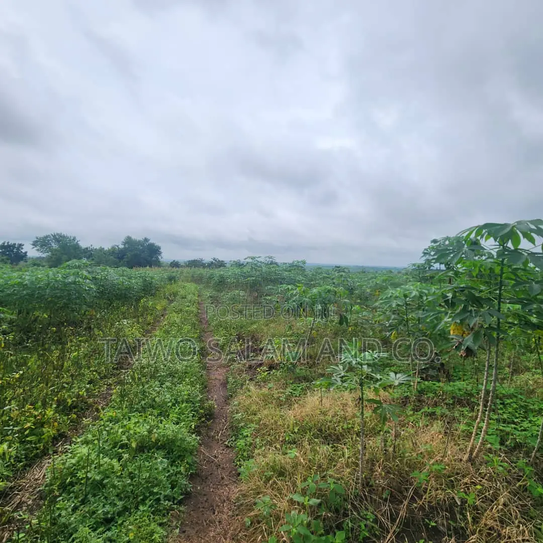 30 Acres of Farm Land