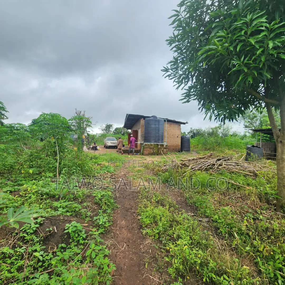 30 Acres of Farm Land
