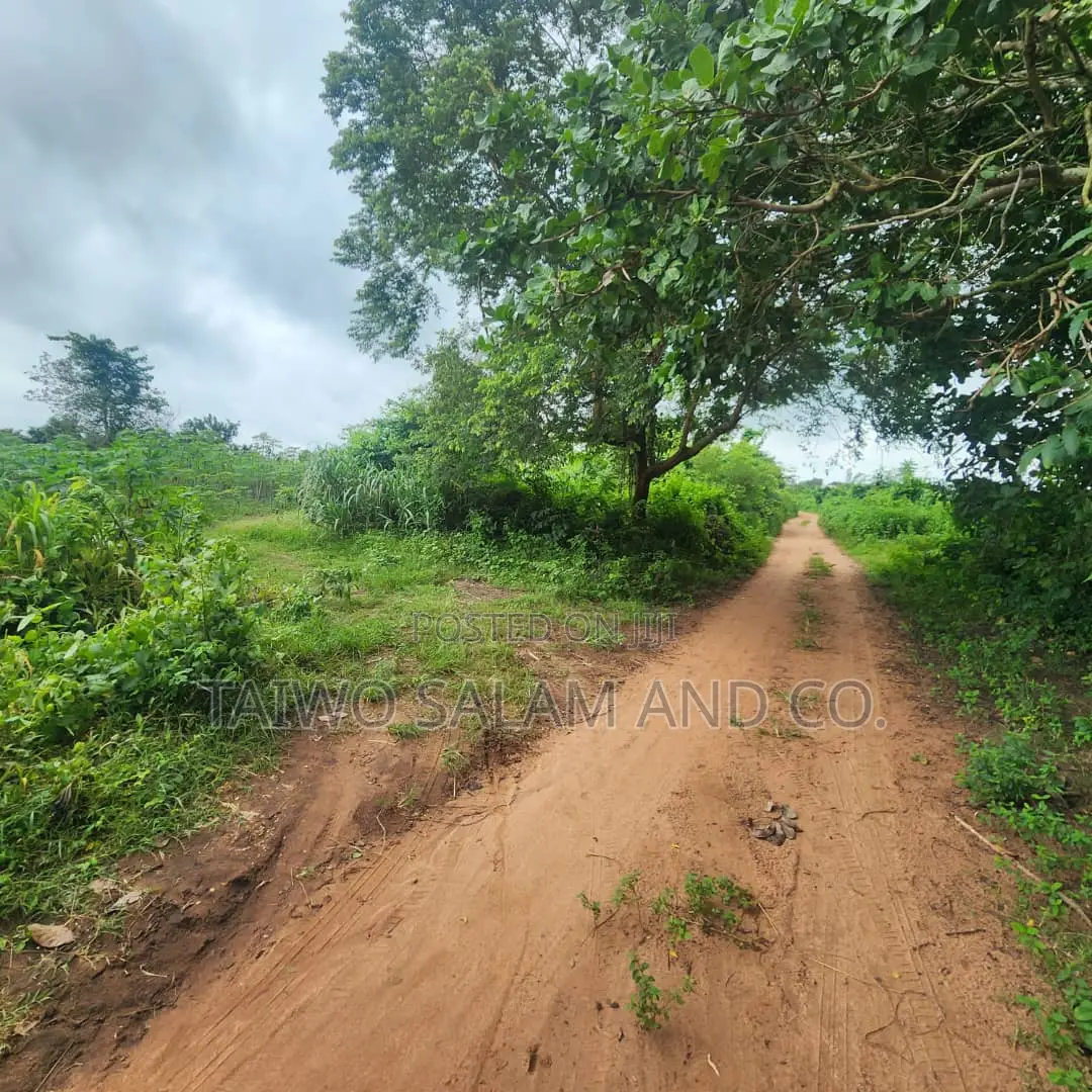 30 Acres of Farm Land
