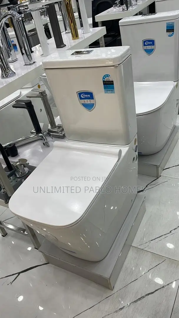 Standard Back-to-Wall Dual Flush Water Closet
