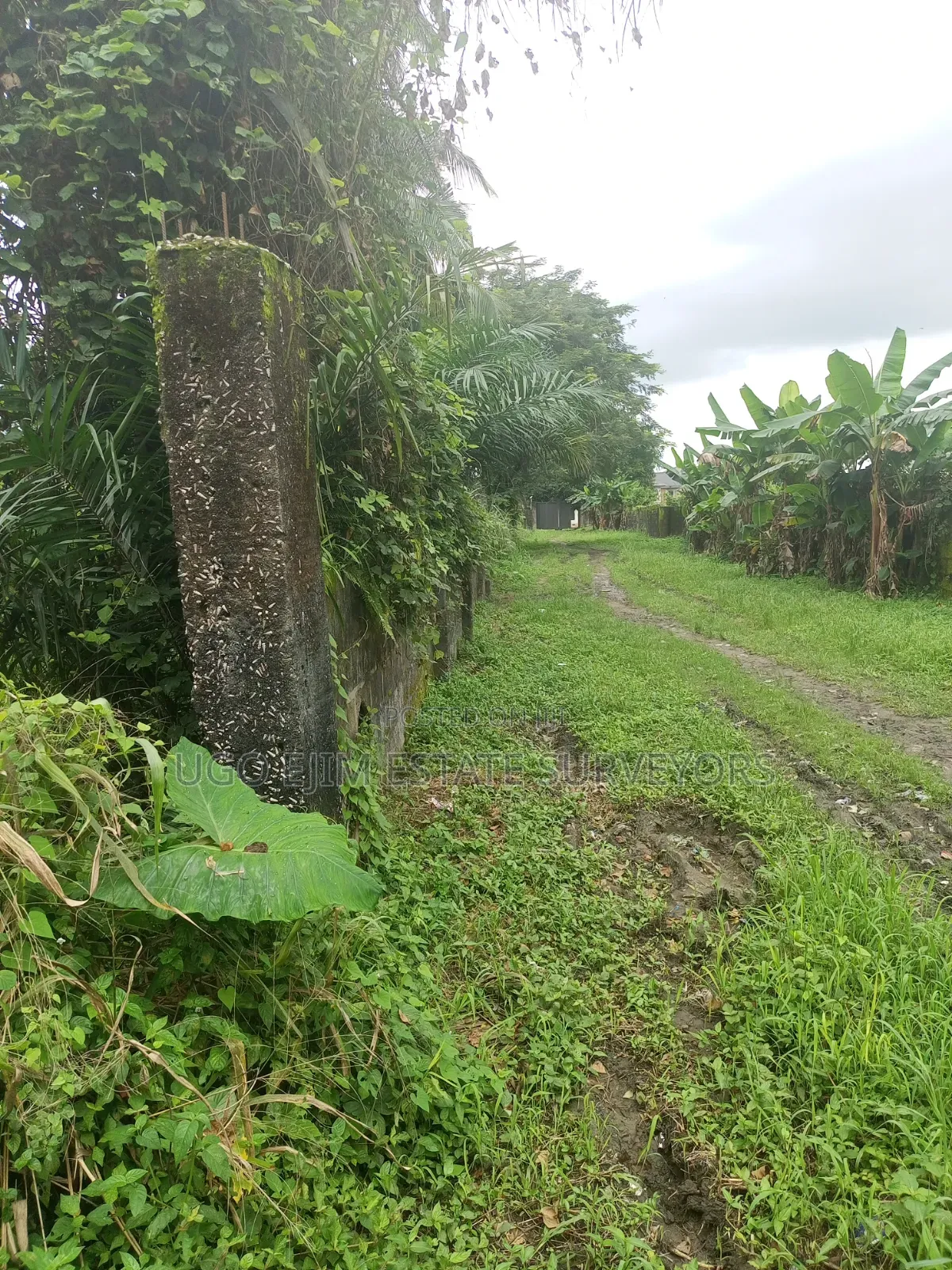 Eighteen (18) Plots of Land for Sale