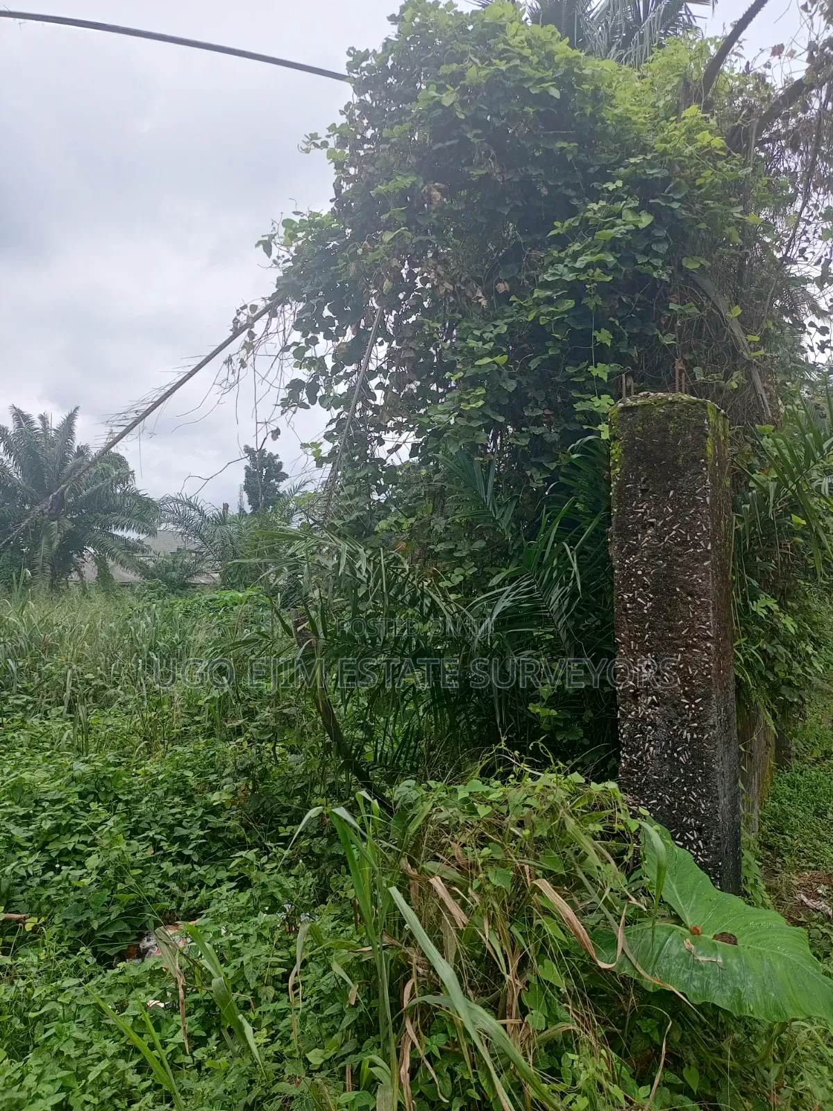 Eighteen (18) Plots of Land for Sale