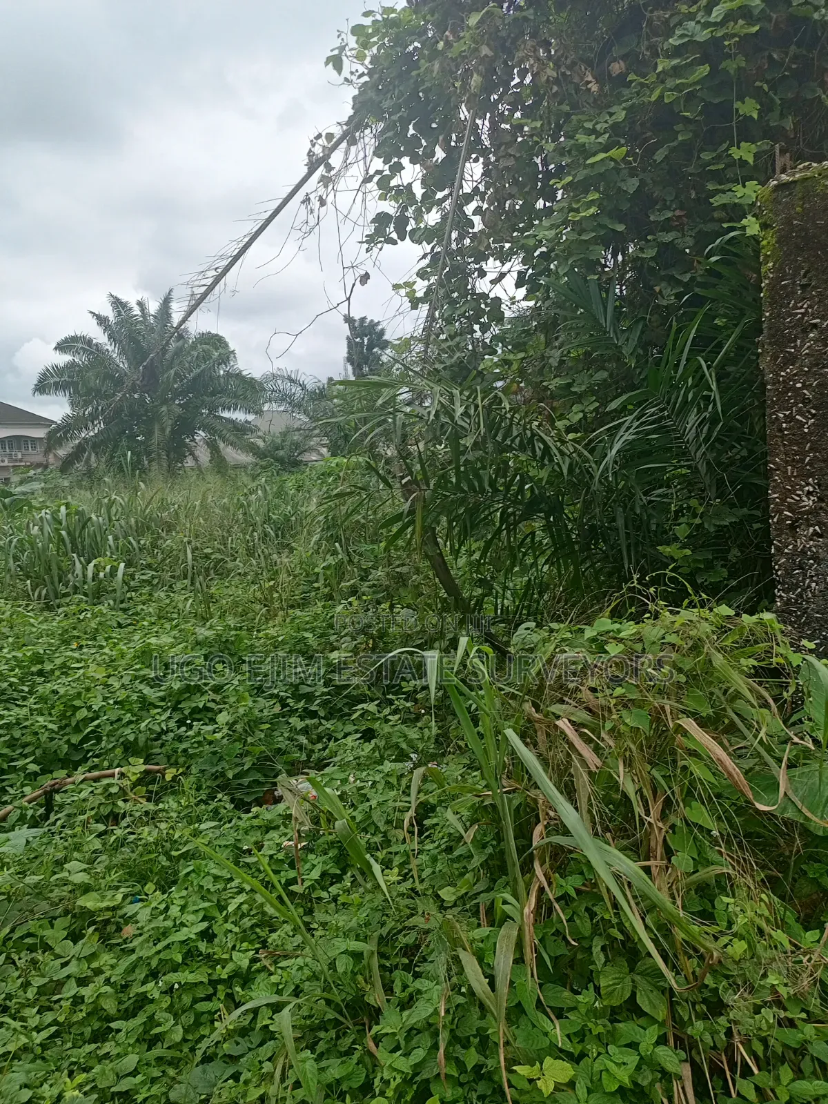 Eighteen (18) Plots of Land for Sale