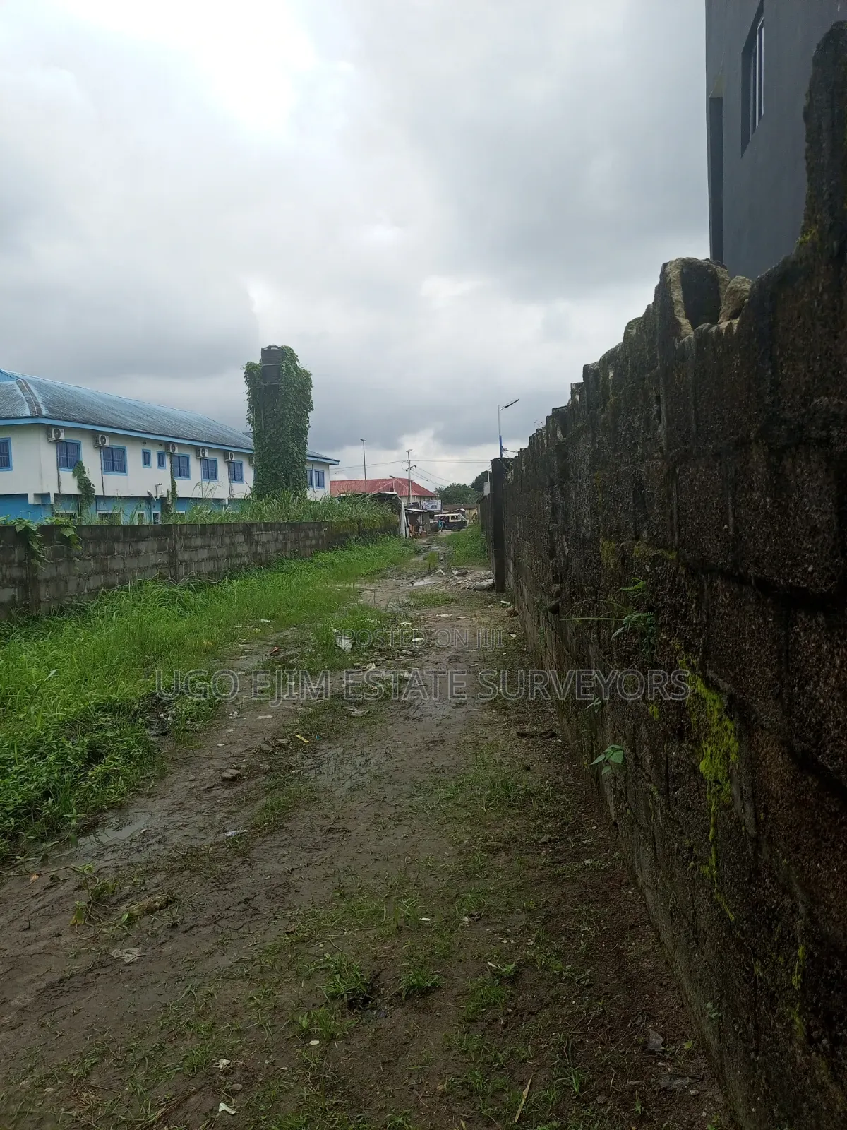 Eighteen (18) Plots of Land for Sale