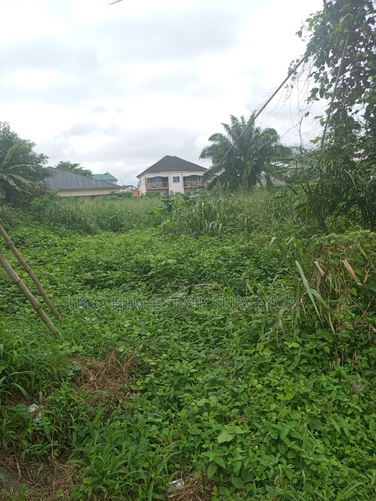 Eighteen (18) Plots of Land for Sale