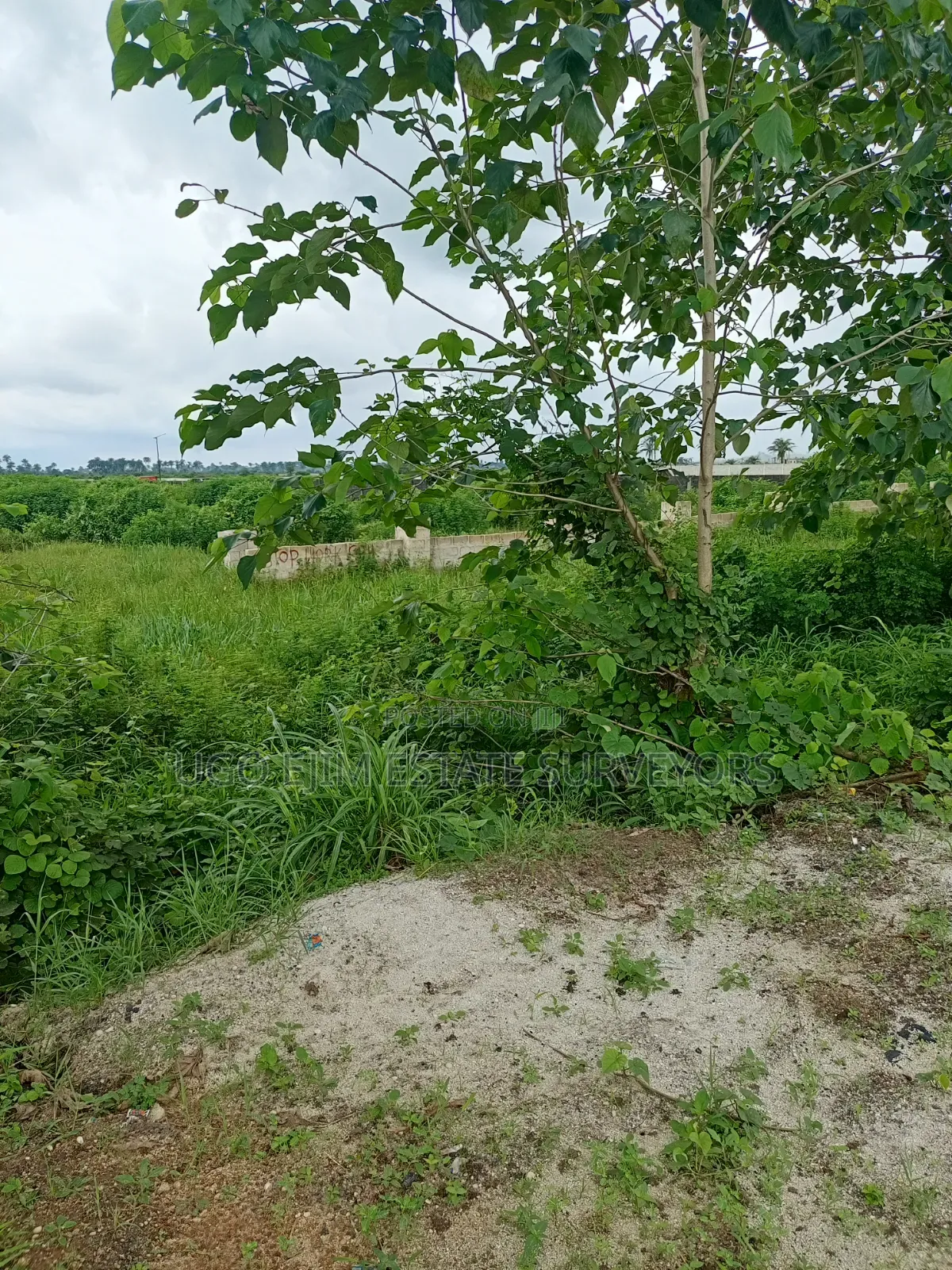Three Plots of Land at Obirikwere/Airport Road
