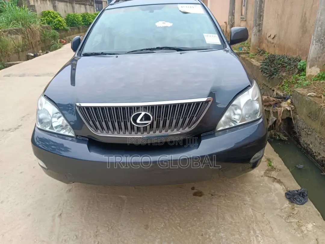 Lexus RX 2005 Gray